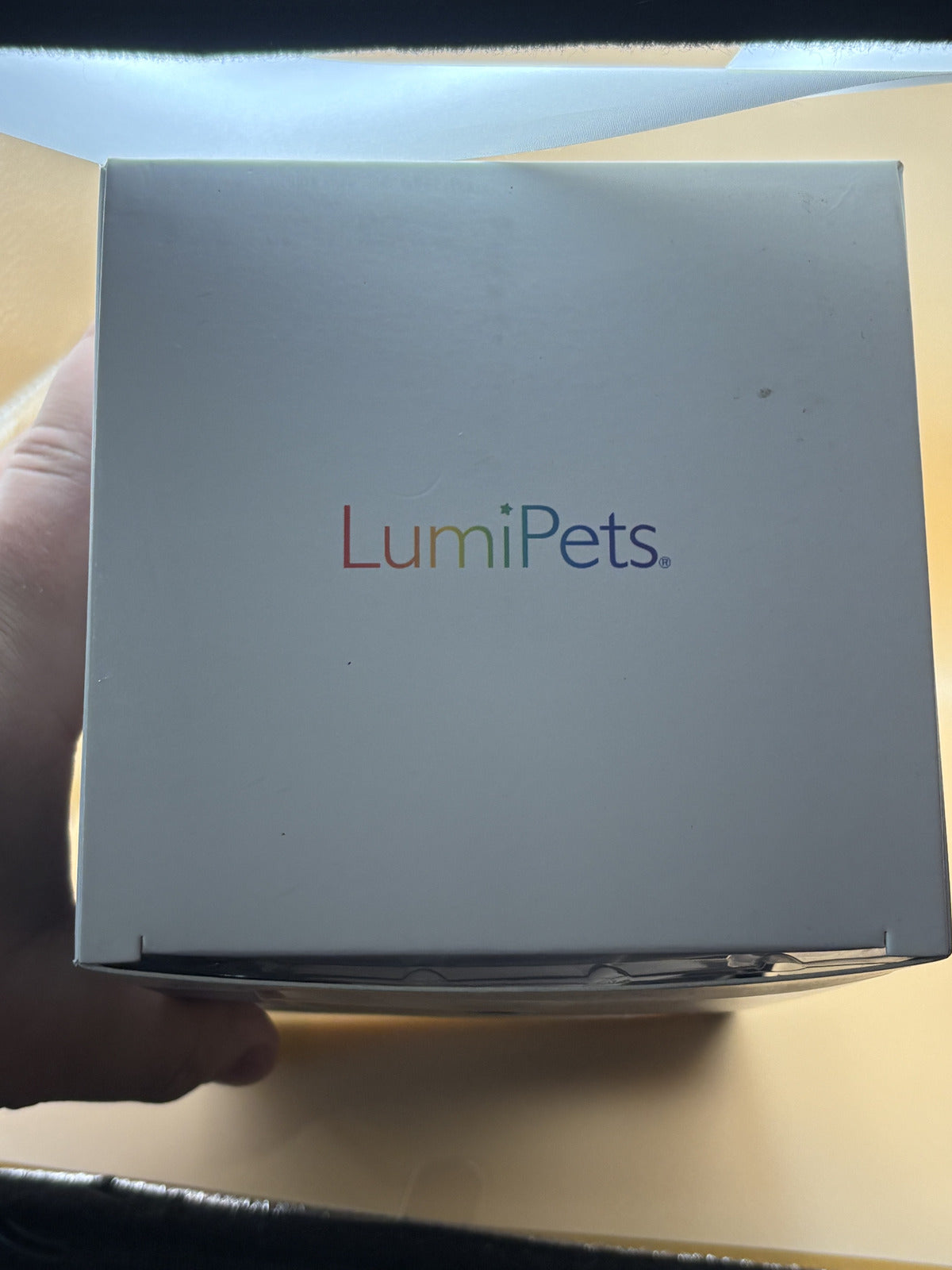 LumiPets Bear LED Night Light Remote 9 Color USB Rechargeable New 1809