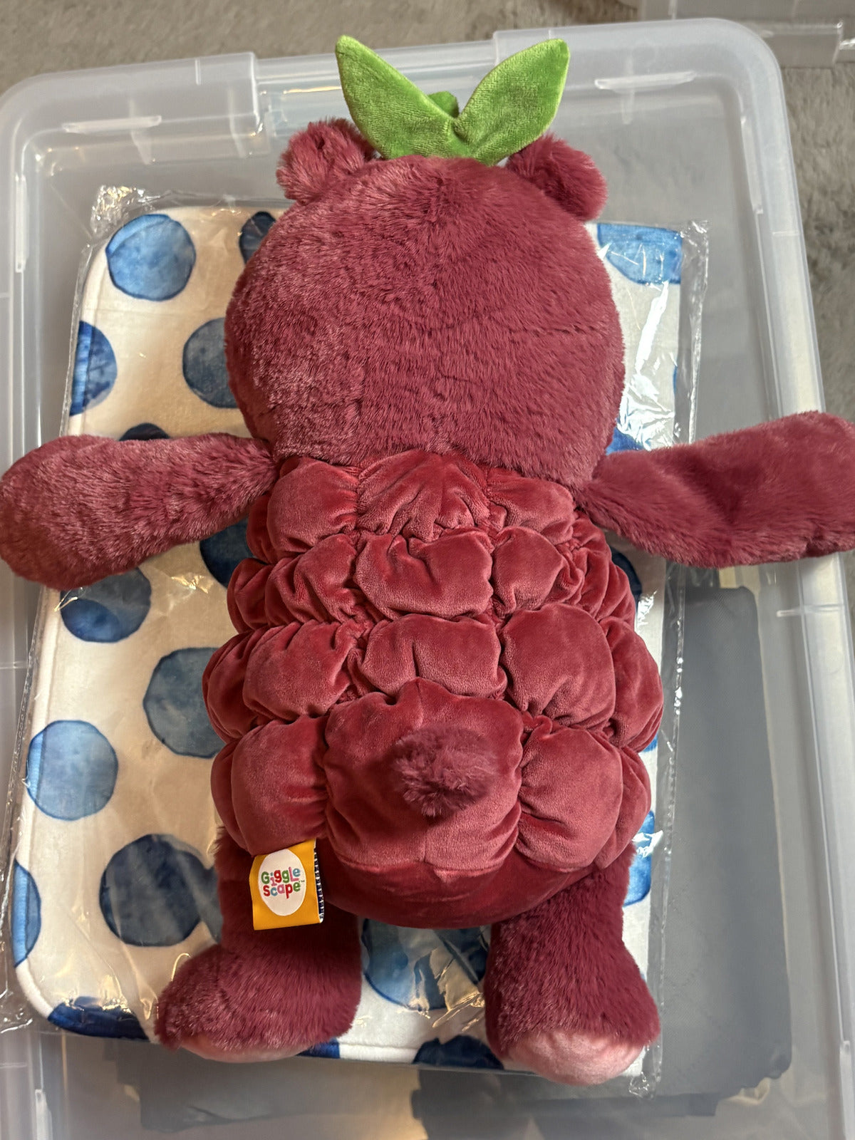Gigglescape Raspbeary Raspberry Bear Plush 12" Target Stuffed Animal NWT — photo 3